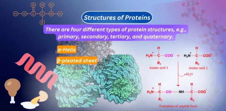 feature image of structure of proteins