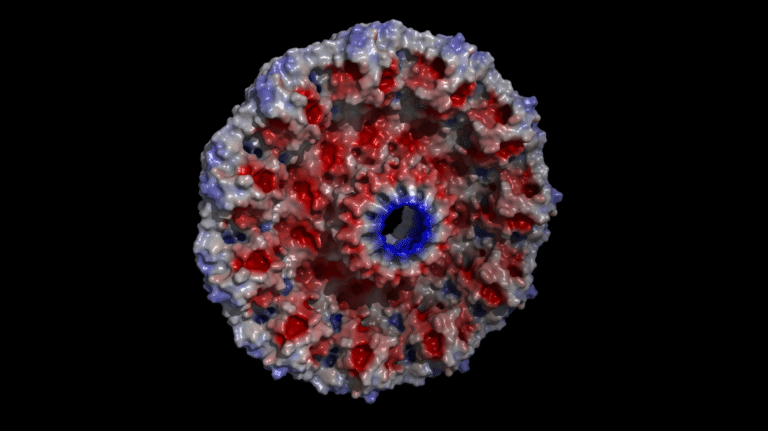 7SC0_electrostatics