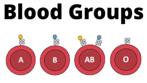ABO blood groups system