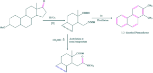 angular methyl group 1