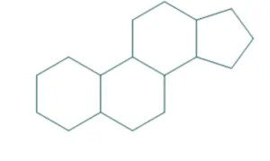 basic structure of steroid