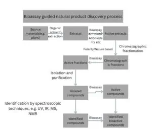 bioassay guided natural product