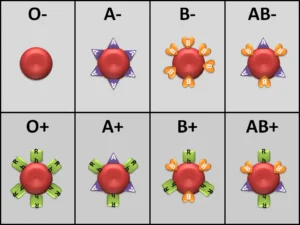 blood type chart