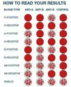 blood types