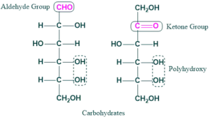 carbohydrates