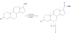 cholesterol step 23