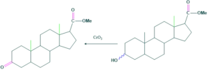 cholesterol step 24