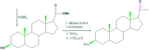 cholesterol step 25