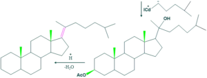 cholesterol step 26