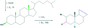 cholesterol step 27