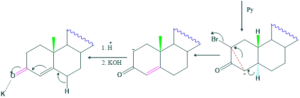 cholesterol step 28