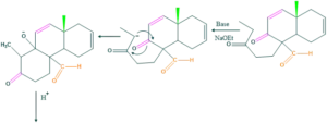 cholesterol step 8