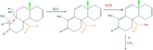 cholesterol step 9