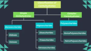 classification of carbohydrates