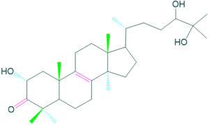 clavarnine