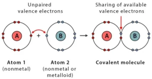covalent bond