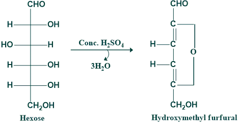 dehydration of hexosedehydration of hexose