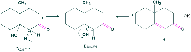 Robinson Annulation 5 dehydration step in robinson annulation