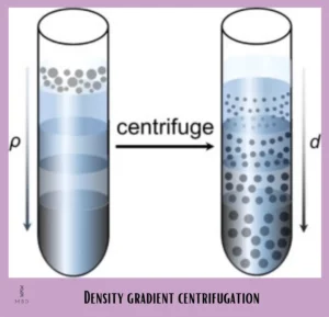 density gradient centrifugation