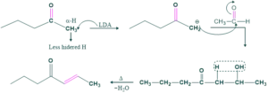 directed aldol condensation 01