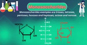 feature image of monosaccharides