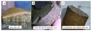filter cake or mud cake