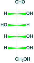 fisher projecion of glucose