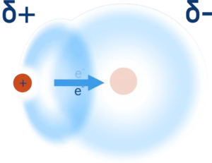 hydrogen bond form structure