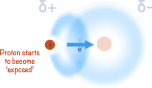 hydrogen bond formation