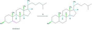 hydrogenation of cholesterol