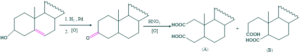 hydroxyl group