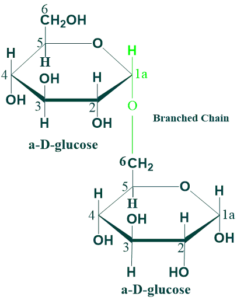 isomaltose