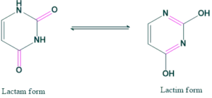 lactam and lactim form