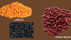 legume carbohydrates