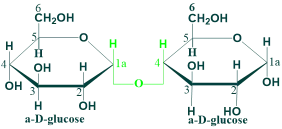 maltose