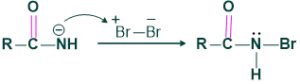 mechanism of hoffmann rearrangement step 2