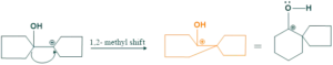 mechanism of pinacol pinacolone rearrangement methyl shift