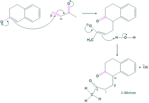 michael addition step 02 in robinson annulation reaction example