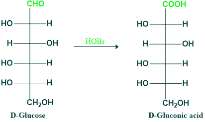 oxidation of glucose