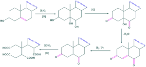 position-of-double-bond-1