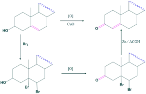 position-of-double-bond-2