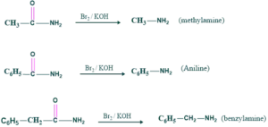 preparation of methylamine aniline and benzylamine