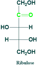 ribulose