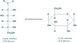 ring chain tautomerism