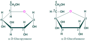 ring structure of glucose