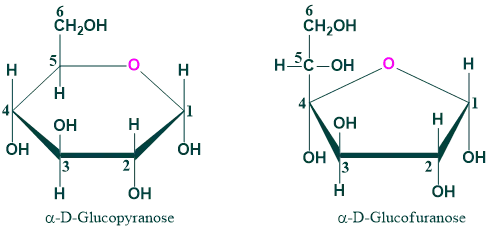 ring structure of glucose