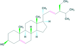 stigmasterol formula