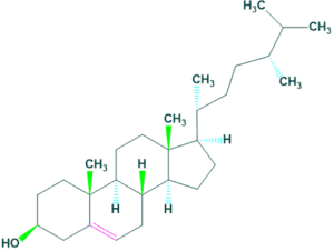 structure of campesterol