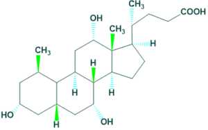 structure of cholic acid