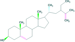 structure of clerosterol